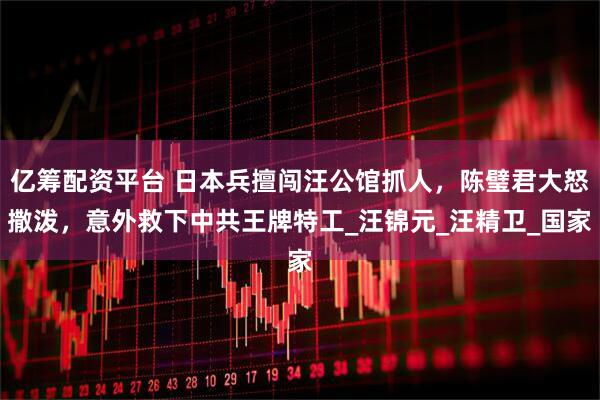 亿筹配资平台 日本兵擅闯汪公馆抓人，陈璧君大怒撒泼，意外救下中共王牌特工_汪锦元_汪精卫_国家