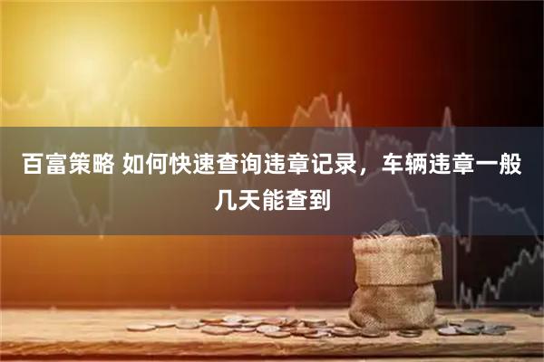 百富策略 如何快速查询违章记录，车辆违章一般几天能查到